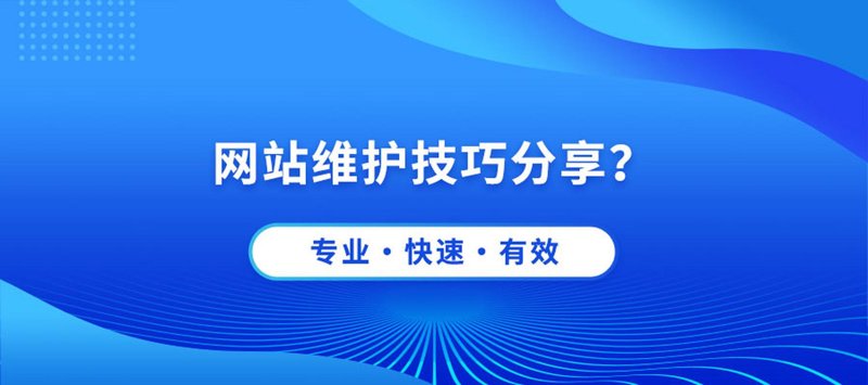 响应式网站设计：构建适应未来的数字桥梁